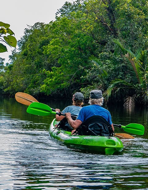 Kayaking on the Tatai River at Canvas & Orchids Retreat in Koh Kong, Cambodia