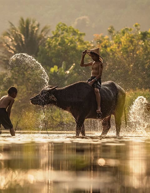 Greet the Neighbors – A Walk into the Khmers’ Life