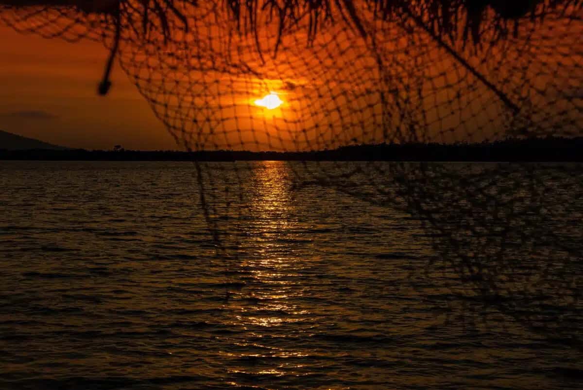Have a Green Valentines Day in Cambodia