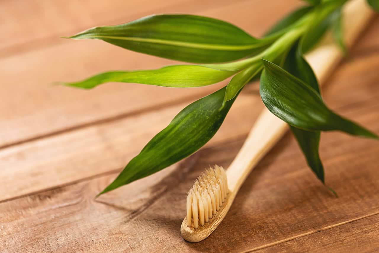 Bamboo toothbrush provided as a sustainable guest amenity at Canvas & Orchids Retreat in Cambodia